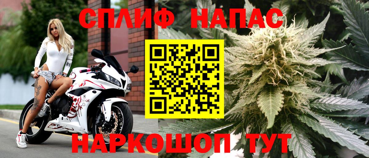 Бошки Шишки план  Конопля White Widow  Ростов Великий  Вход с VPN 